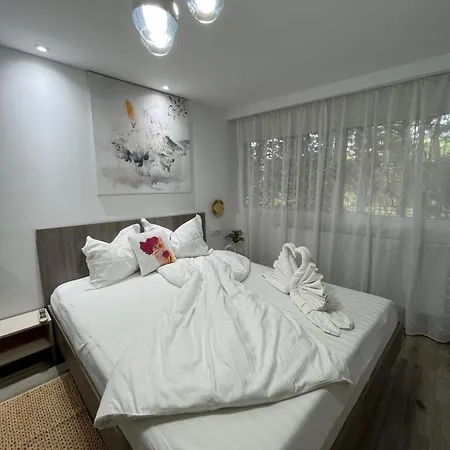 Гостевой дом Casa Timerar *