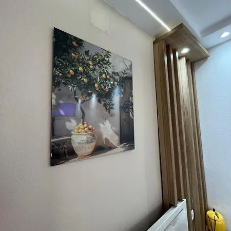 Casa Timerar * Венус