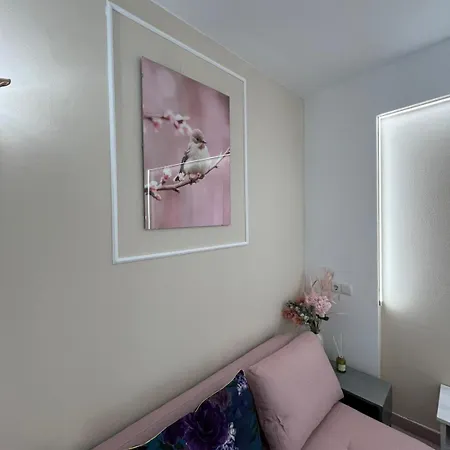 Casa Timerar Гостевой дом *