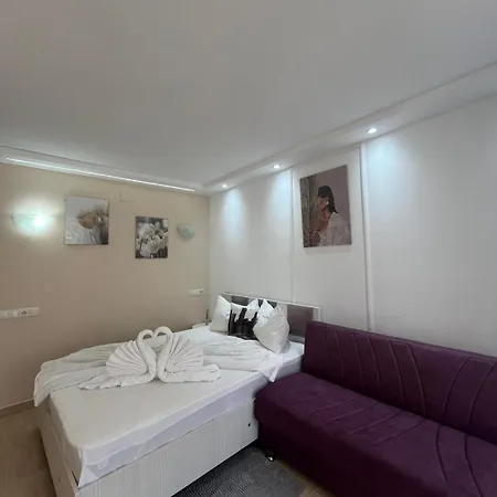 Гостевой дом Casa Timerar *