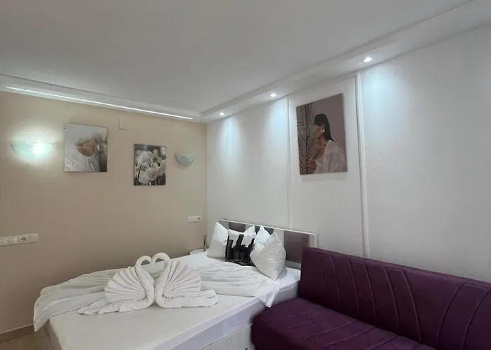 Guest house Casa Timerar *