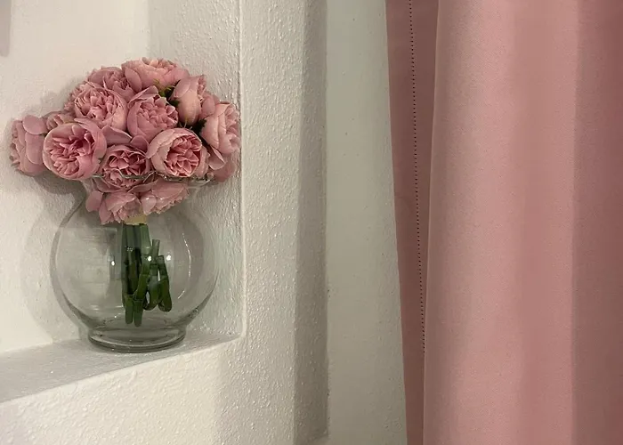 Guest house Casa Timerar